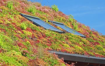 Willow Green living roof systems