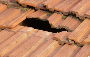 roof repair Willow Green